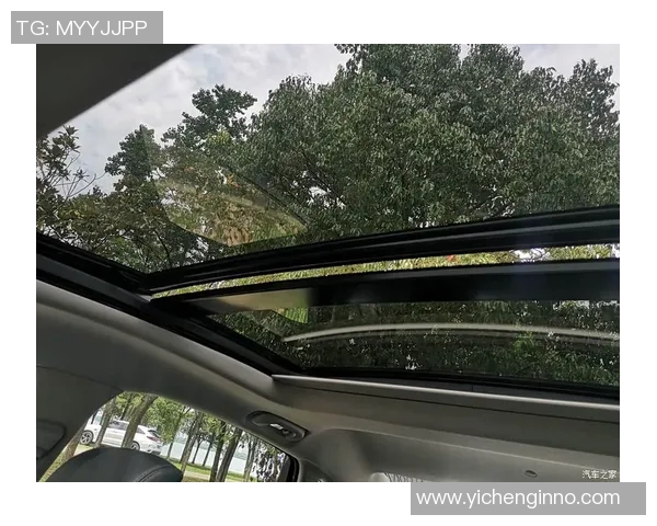 武汉飞盘队在全国速度排行榜中荣登第七名展现出卓越实力与团队合作精神