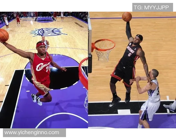 悉尼国王与野猫的激烈对决谁将赢得这场篮球盛宴