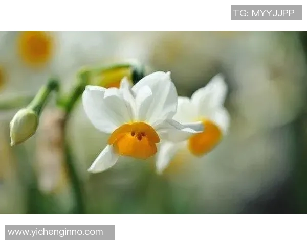 李添荣的奋斗之路：从平凡到卓越的成长故事与人生启示